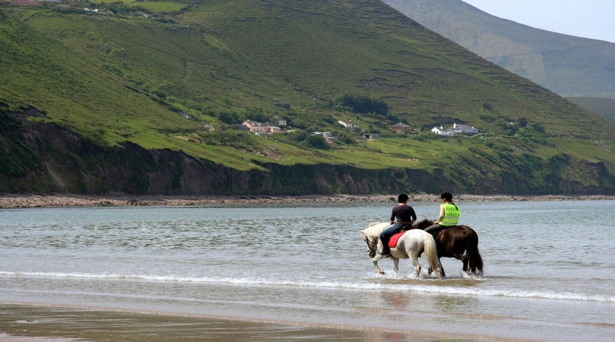 IMMERSION EN FAMILLE - PASSION CHEVAL