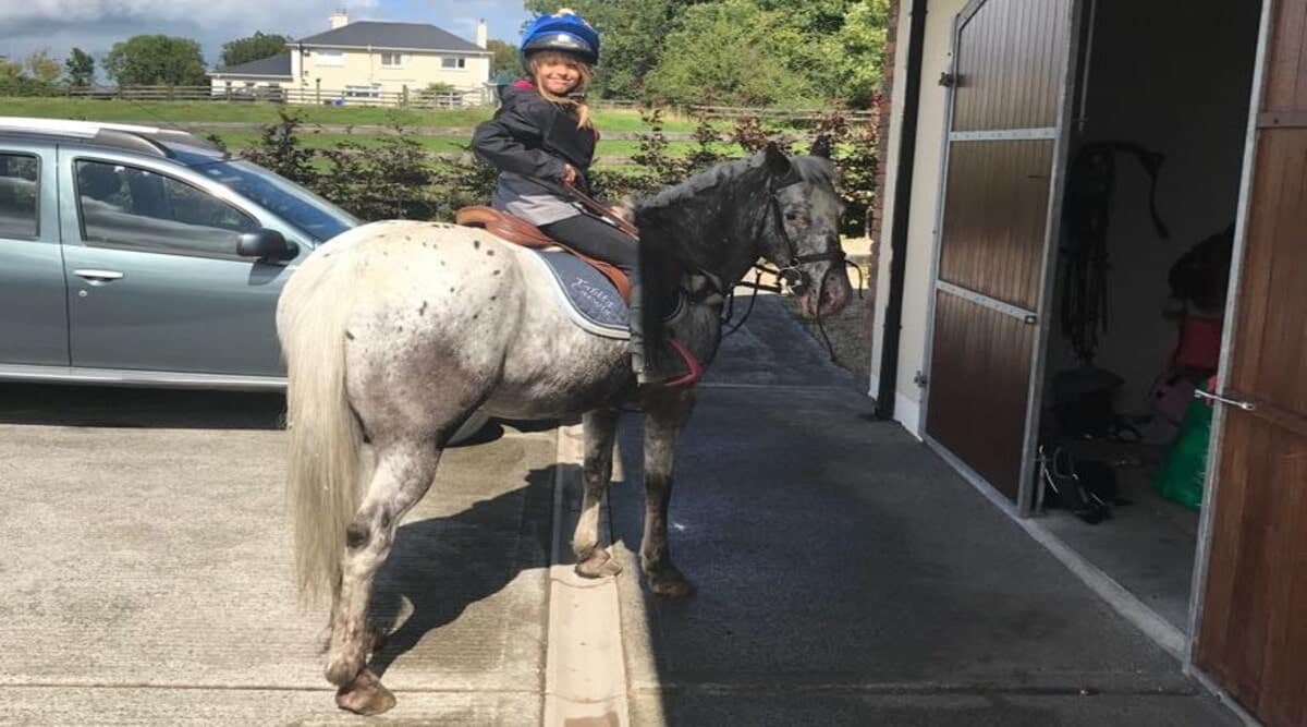 SPORT CAMP - EQUITATION