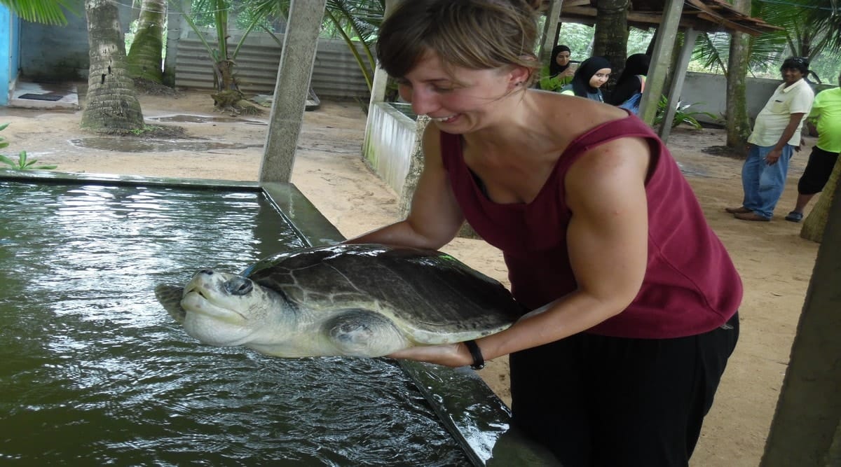 VOLONTARIAT - SRI LANKA PRESERVATION DES TORTUES