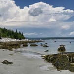 Nombreux clubs étudiants