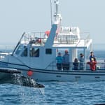 SCOLARITE - NOUVELLE ECOSSE DAY SCHOOL