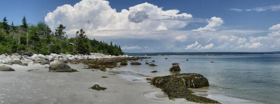 Nombreux clubs étudiants