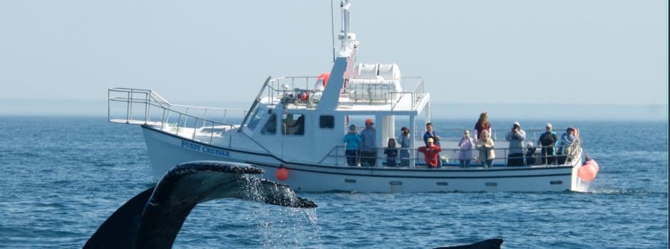 SCOLARITE - NOUVELLE ECOSSE DAY SCHOOL