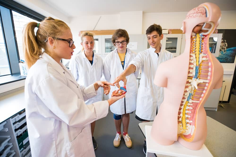 JUNIOR ACADEMIC PLUS - MEDECINE